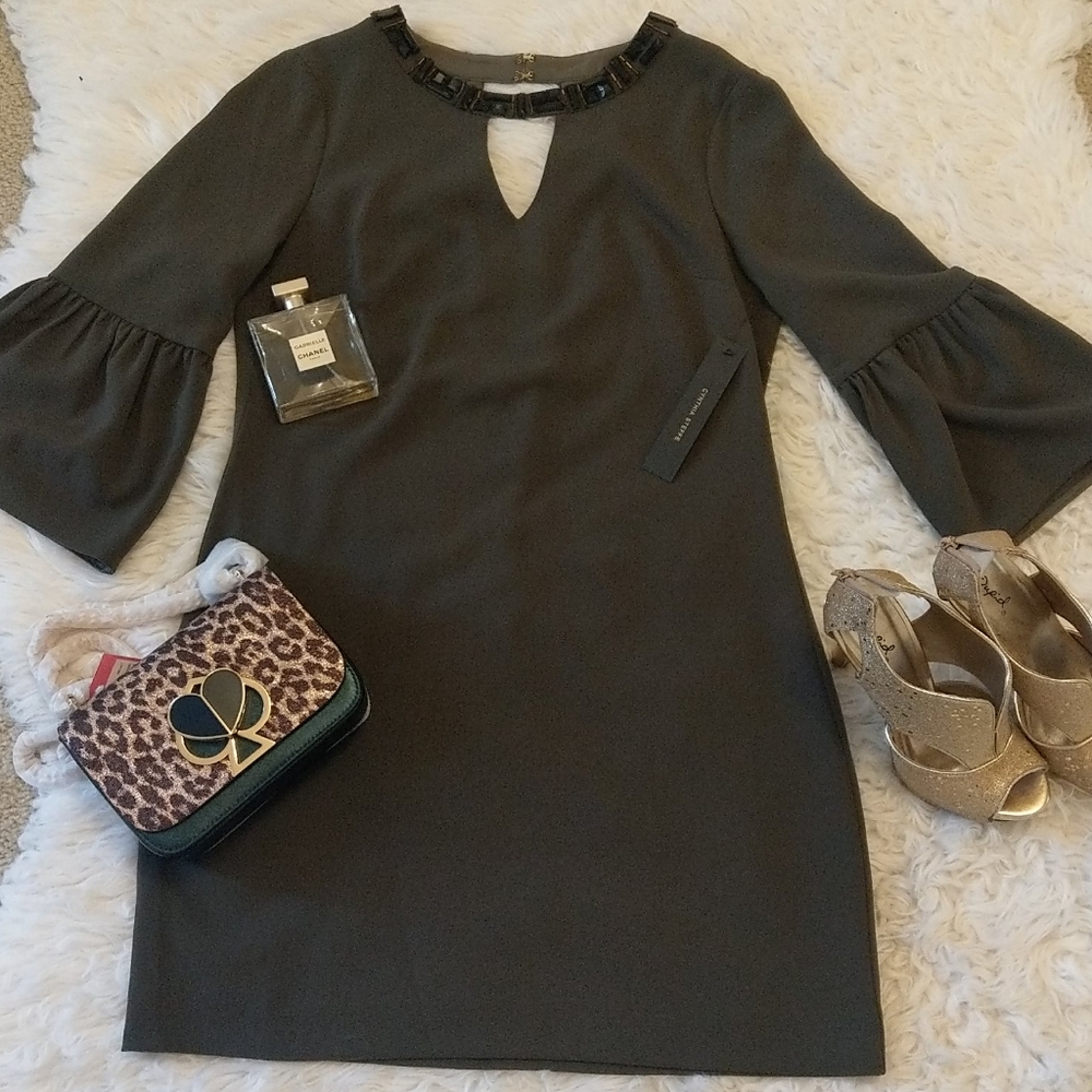 Brand new elegant Cynthia Steffe dress